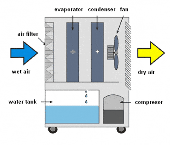 1d32744c798b57a7482d29d7527328cf 1d32744c798b57a7482d29d7527328cf